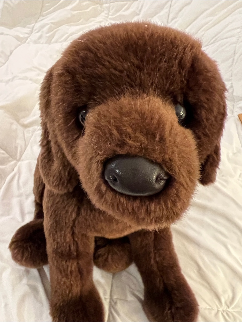 Douglas Brown Plush Chocolate Lab Puppy Stuffed Animal - Soft Cuddly Dog Toy - Picture 7 of 9